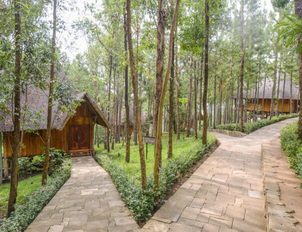 Queen Elizabeth Park View Lodge