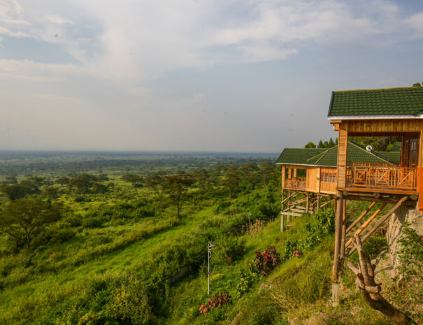 Queen Elizabeth Park View Lodge
